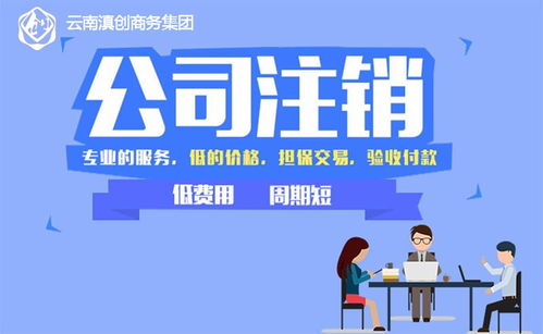 云南滇創(chuàng)商務(wù) 昆明專業(yè)公司注銷代辦與軟件開發(fā)服務(wù)