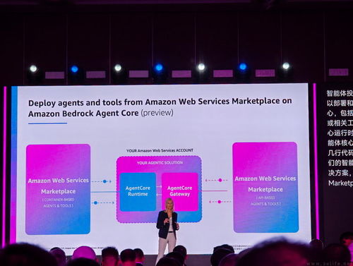 企業(yè)級軟件商店 亞馬遜云科技引領(lǐng)軟件開發(fā)新趨勢